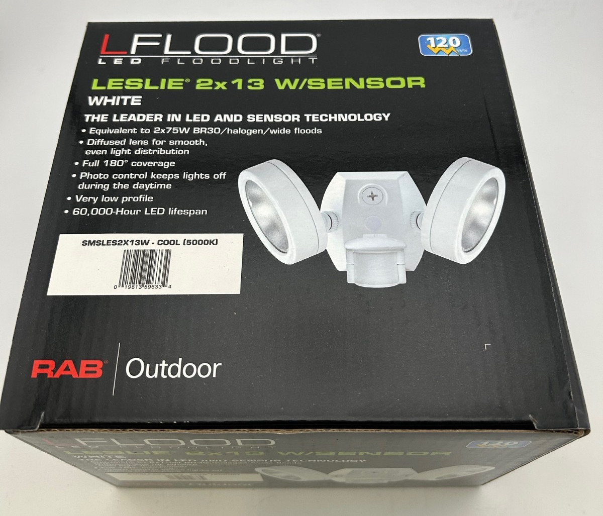 Rab Lighting SMSLES2X13W - 2 X 13W LED Motion Sensor Floodlight 5000K White gallery