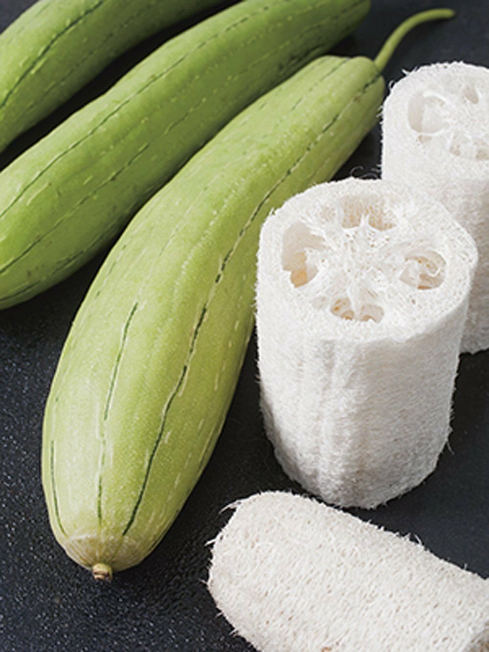 Luffa Gourd Seeds 10 Ct SPONGE VEGETABLE HEIRLOOM NON-GMO USA FREE SHIPPING gallery