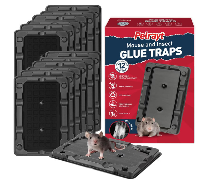 Mouse & Insect Traps 12 Pack, Heavier Sticky Traps with Non-Toxic Glue for Mice
