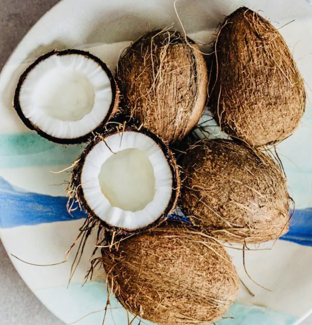 (6 PACK) FRESH WHOLE COCONUT HAND PICKED FRESH HARVEST FREE SHIPPING gallery