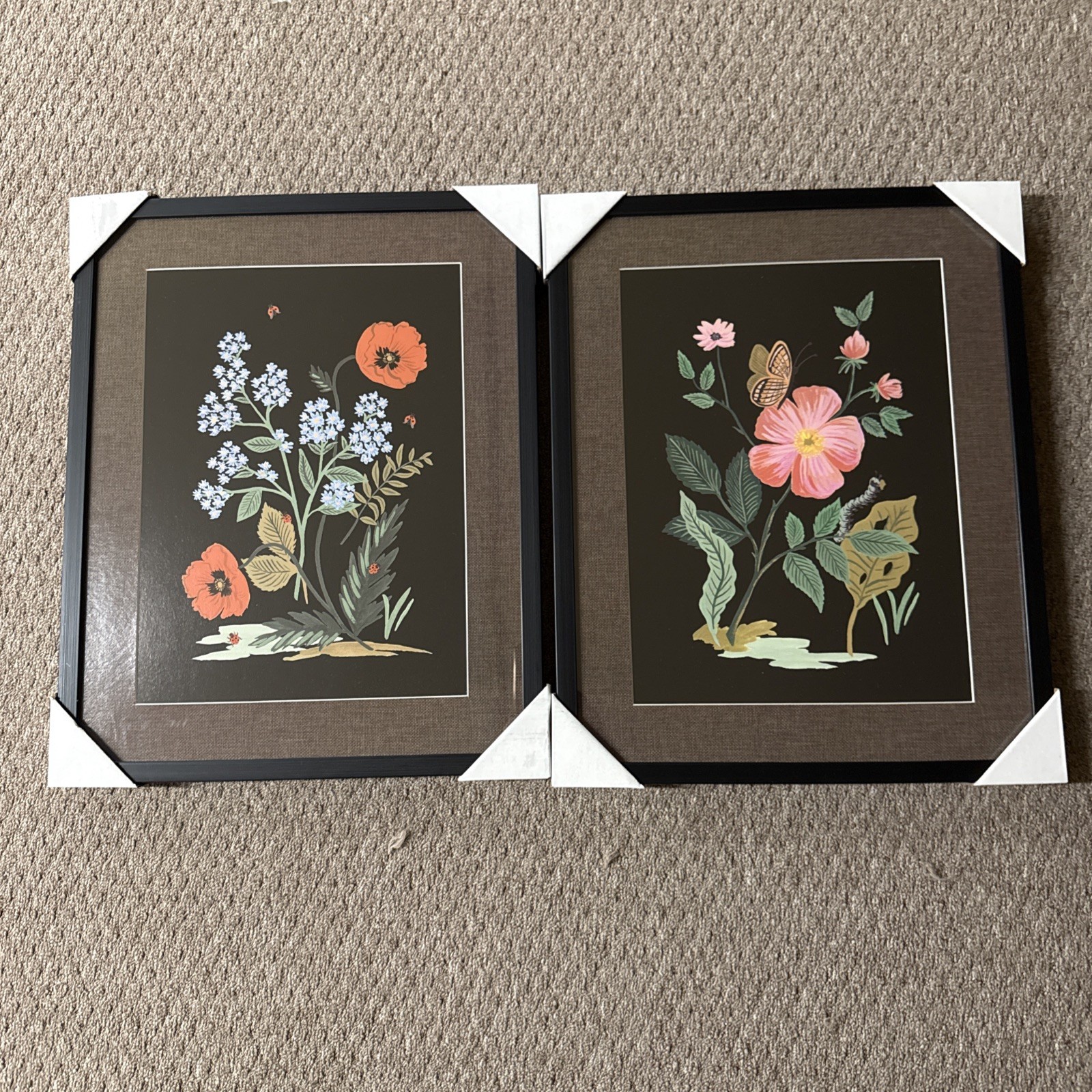 Rifle Paper Co. 16"x20" Botanical Poster Framed Wall Art Print Set of gallery