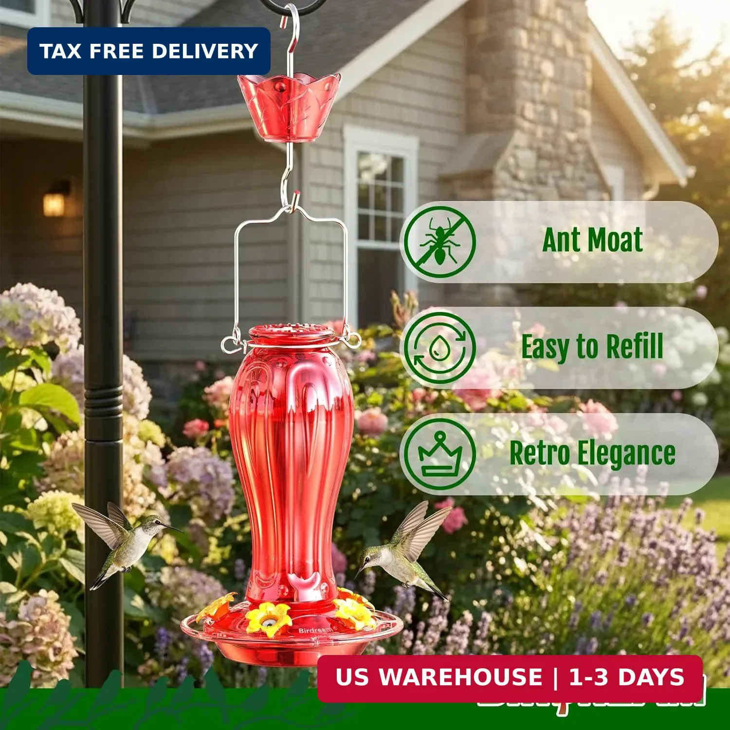 Birdream Glass Hummingbird Feeder for Outdoors, 18oz Hanging Hummingbird Feeder gallery