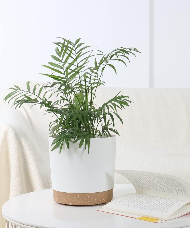 2 Pack 8 Inch Planters for Indoor Plants, Plastic Flower Pots Plant Pots Indoor gallery