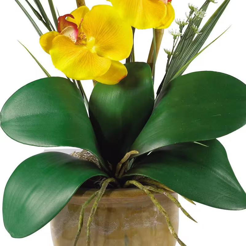 21 In. Artificial Single Stem Phalaenopsis Silk Orchid Flower Arrangement gallery