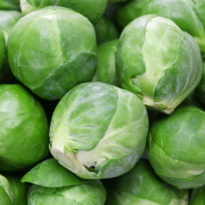 Brussel Sprouts CATSKILL Sweeter with Frost Dwarf 90 Days Non-GMO 500 Seeds! gallery