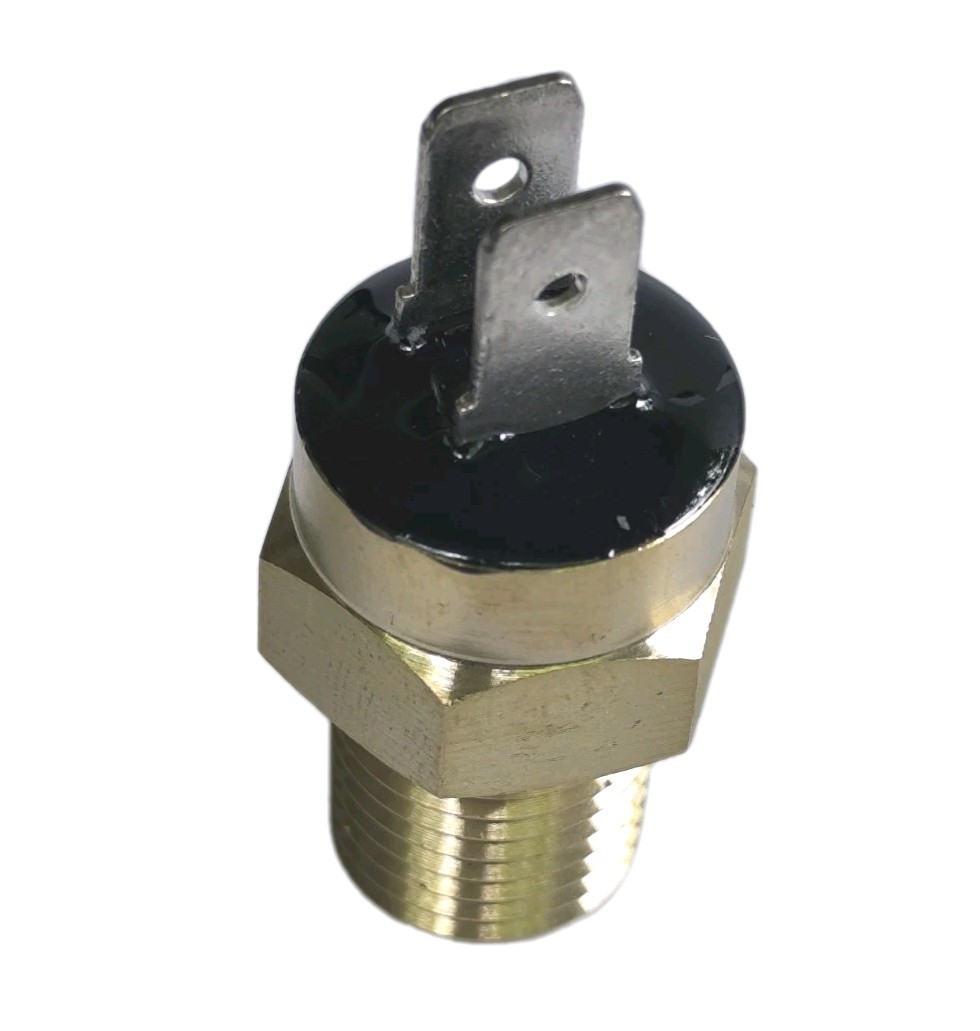 135 F Automatic Gas Shutoff Switch (AGS) Replacement For Pentair 42002-0025S gallery
