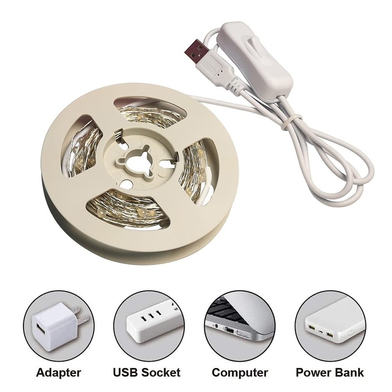 RUICHEN Silver Wire 33 Ft 100 LED USB Fairy String Lights 33Ft 100LED, Blue gallery