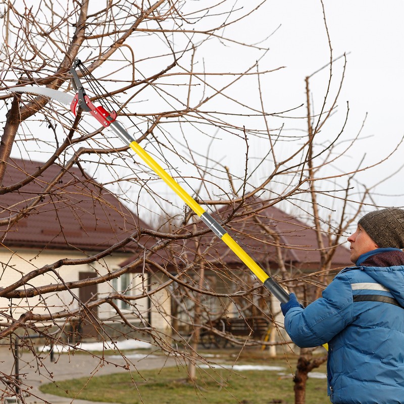 Tree Pruner Pole Saw 24 FT Detached Trimmer Saw Telescopic gallery