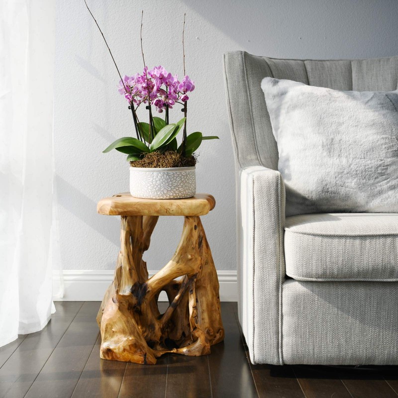Tree Stump Side Table Live Edge Stool Natural Edge Wood Side Table Accent Table gallery