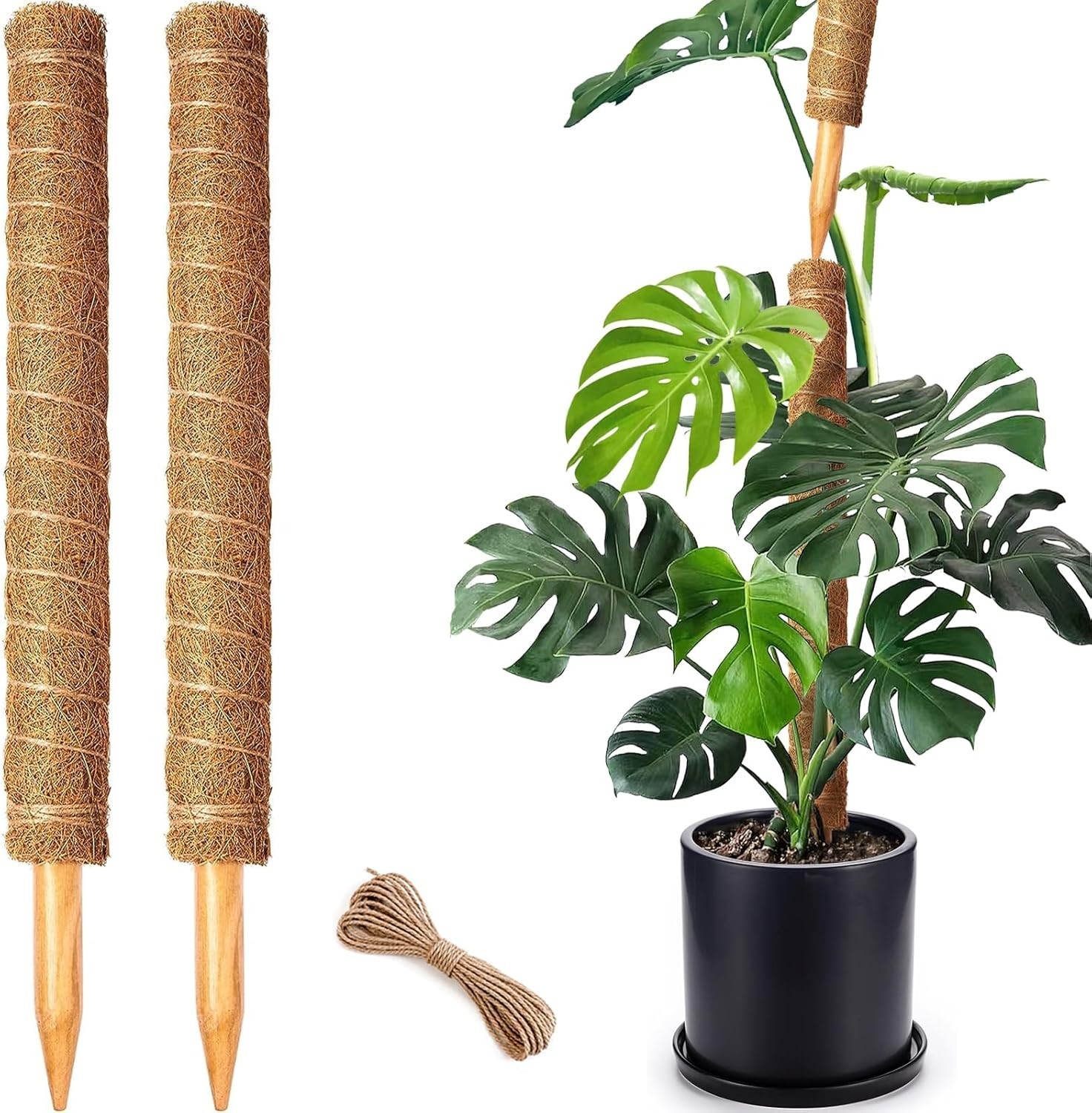 Moss Pole Plant Support Stake Coir Vertical Expandable for Monstera Pothos gallery