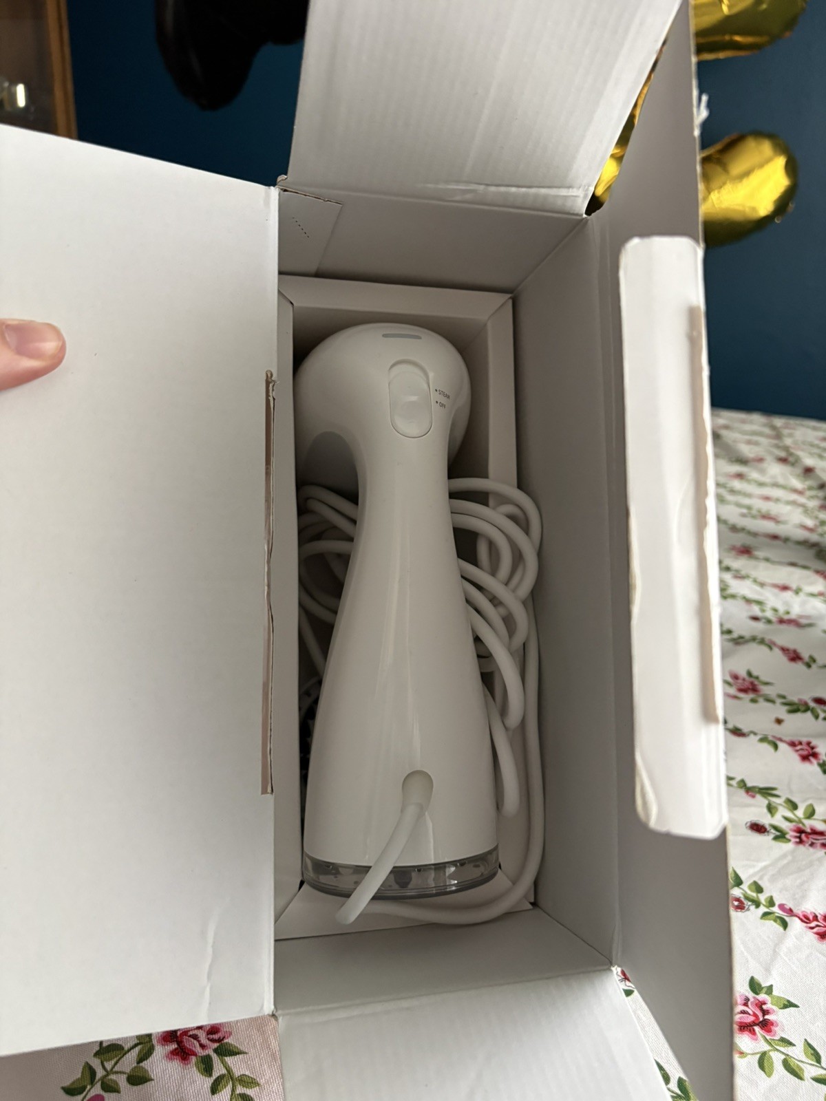 HiLife Easy Garment Steamer gallery