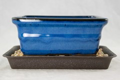 6″ Rectangular Dark Blue Shohin Bonsai/Succulent Pot + Tray + Rock + Mesh Combo