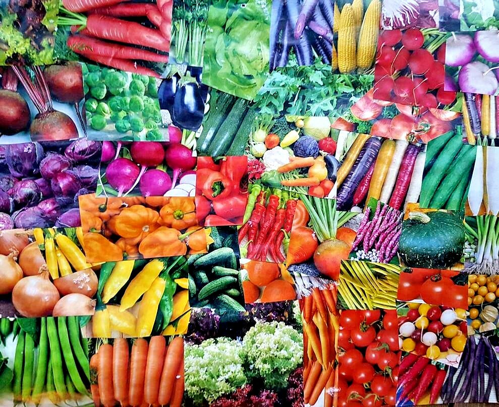 #3 Heirloom Vegetable Seed 6 Variety Garden Set Emergency Survival NON-GMO 150+ gallery