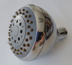 Aspen 2-Setting Fixed Wall-Mount Shower Head – Polished Chrome Rain / Massage