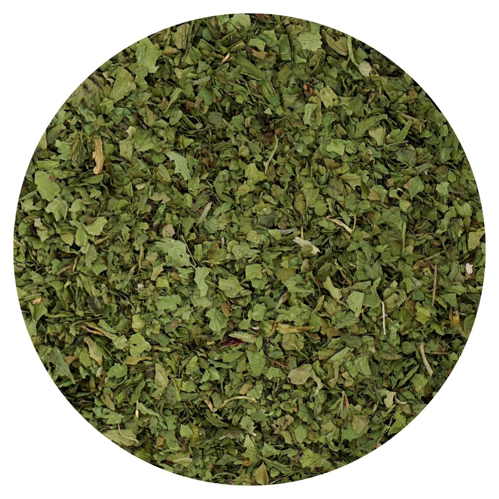 Cilantro, 1 Pound Bulk Bag, Hampton Distribution gallery