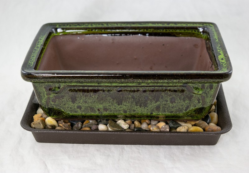8" Rectangular Moss Green Bonsai Cactus Succulent Pot + Tray + Rock + Mesh Combo gallery