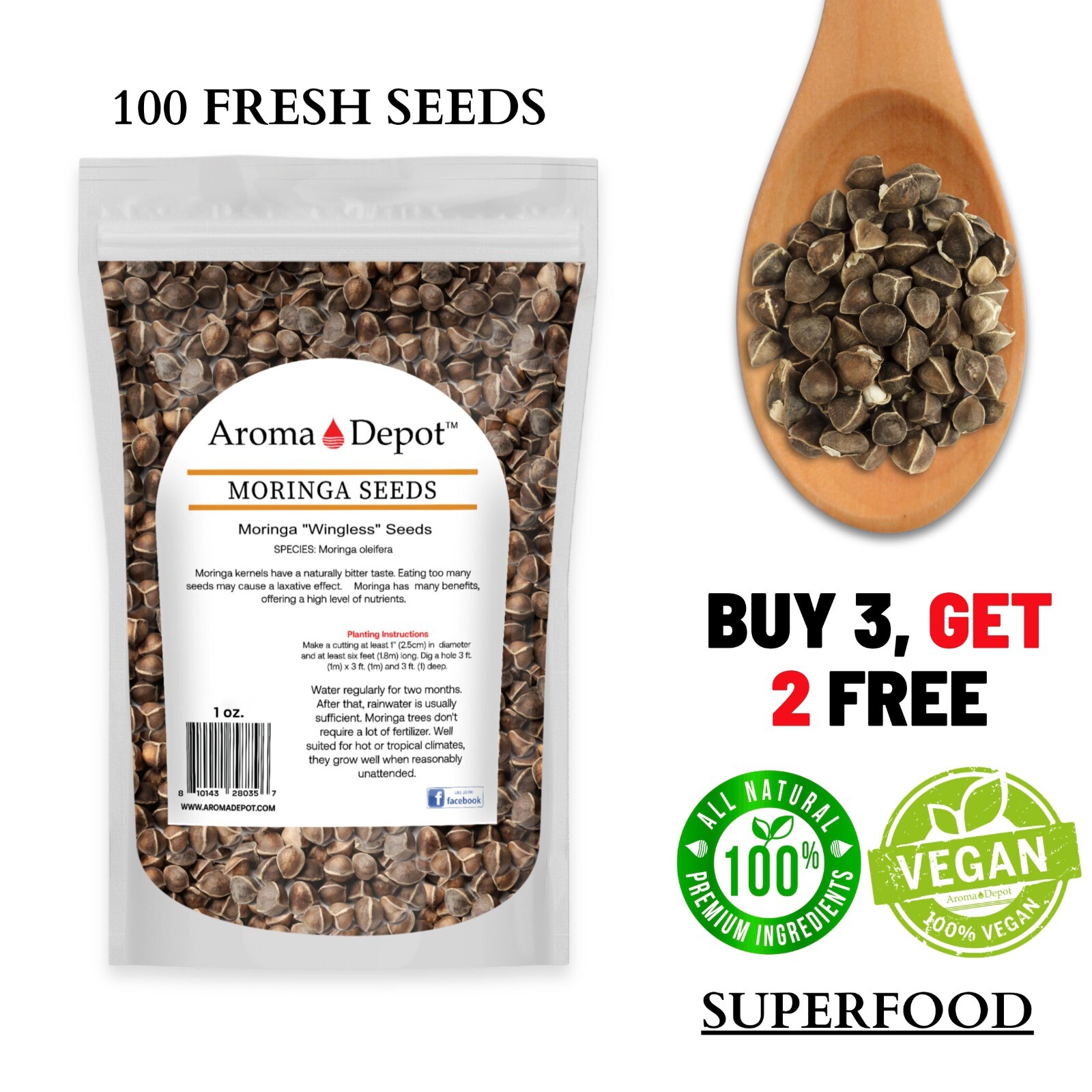Moringa Seeds 1 oz. Wingless Semillas de Moringa Pepa oleifera Approx. 100 Seeds gallery