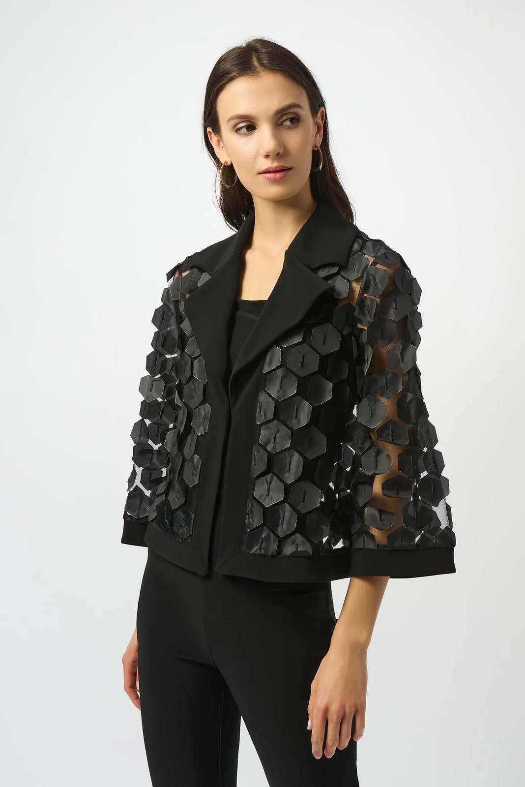 Joseph Ribkoff Black/Silver Collared Embroidered Mesh Trapeze Jacket 253089 gallery