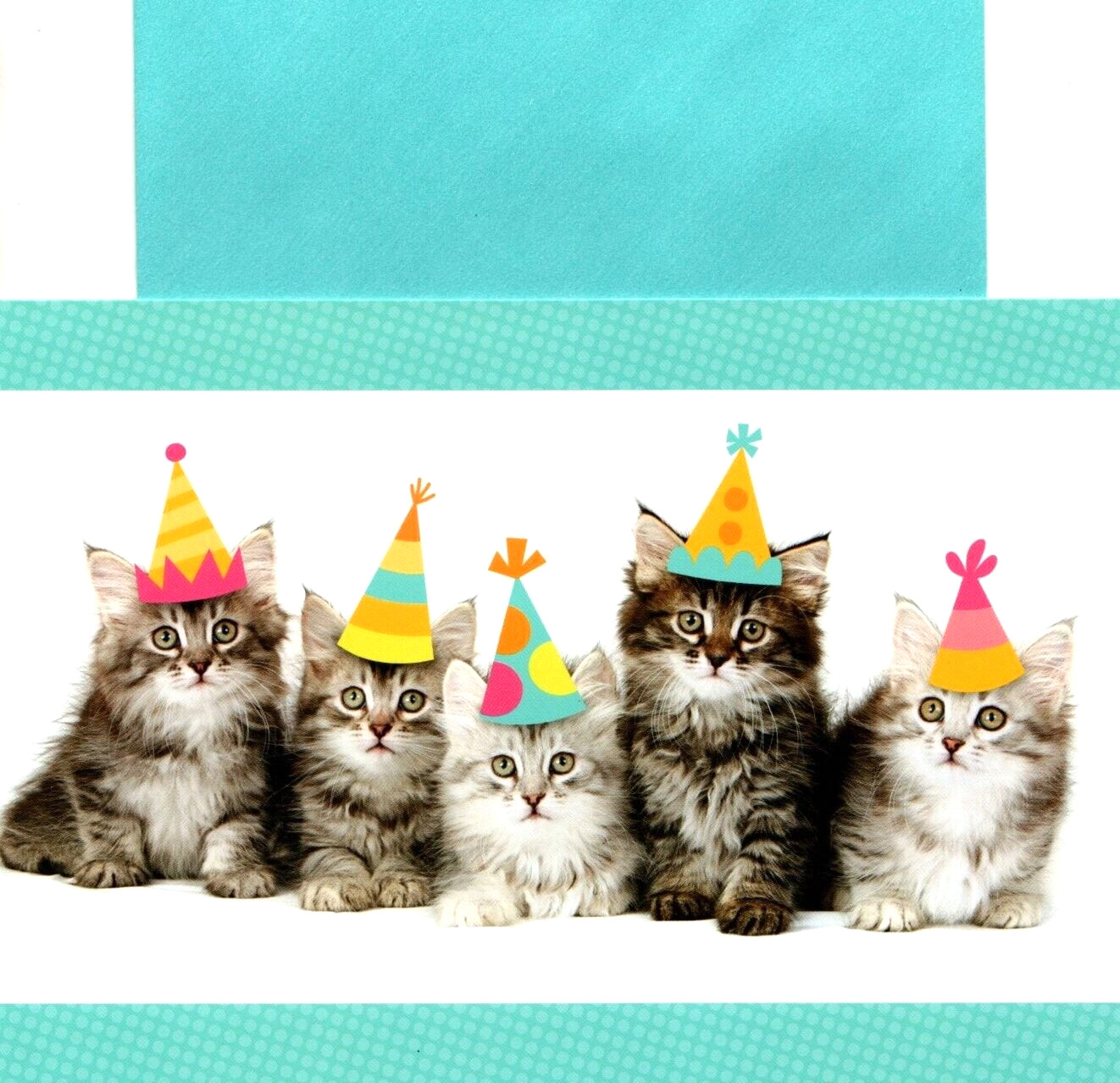 Happy Birthday Gray Grey Tabby Kitty Cat Kitten Kittens Hallmark Greeting Card gallery