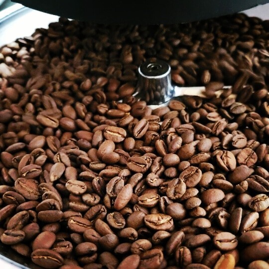 Costa Rican la Candelaria Geisha Coffee Beans Roasted To Order 8oz Muth R. Haus gallery