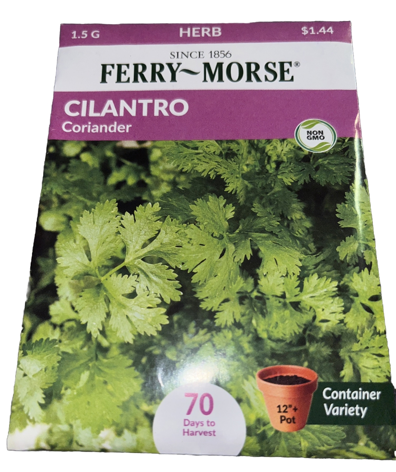 Basil Cilantro - Coriander Herb Garden Seeds NON-GMO - Ferry Morse 4 Pack 12/22 gallery