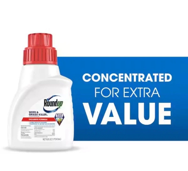 Roundup Concentrate 16 Fl Oz gallery