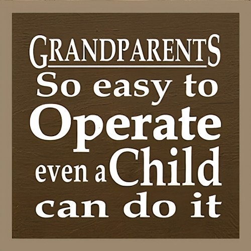 Grandparents So Easy To Operate Even Child Can Do It Refrigerator Fridge MAGNET gallery