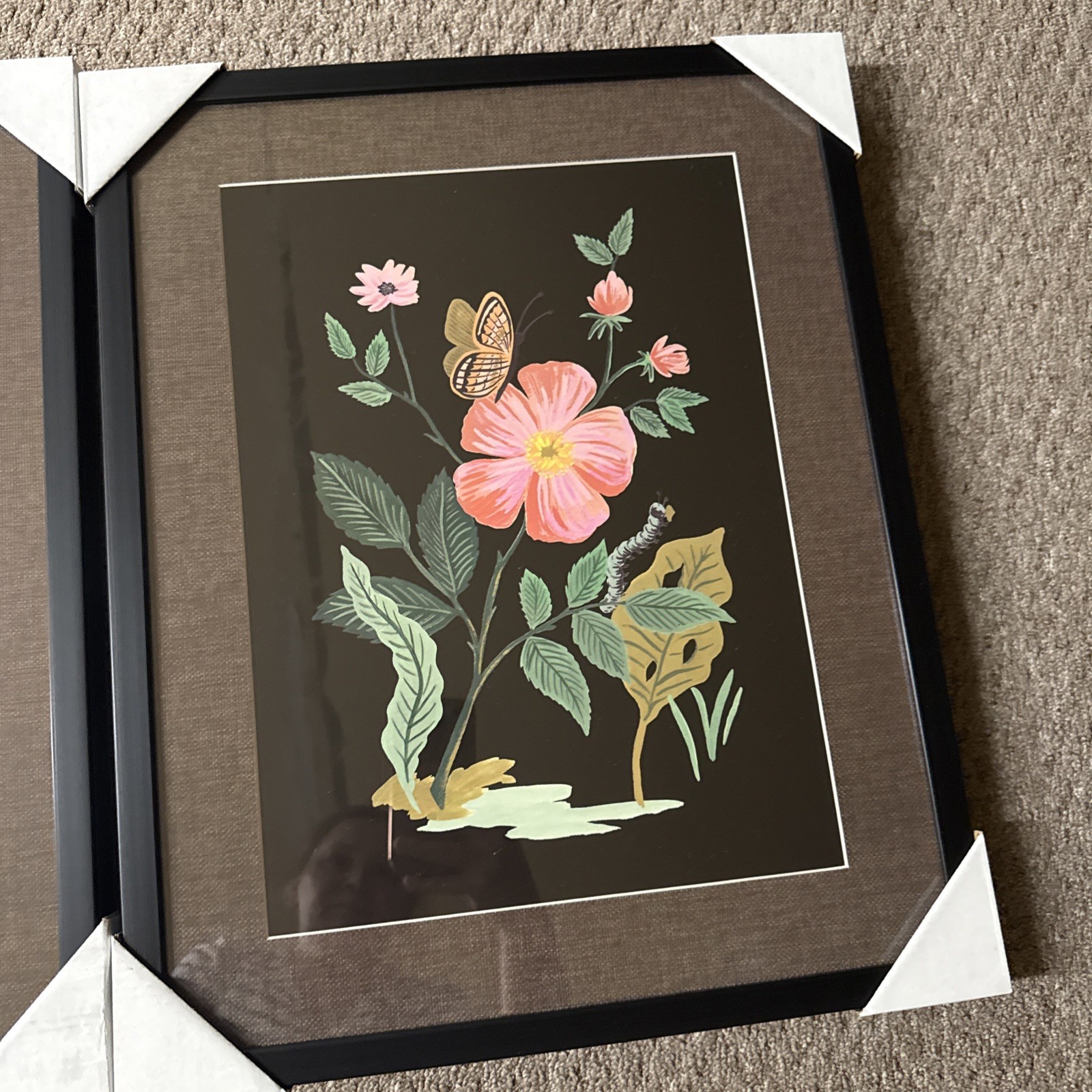 Rifle Paper Co. 16"x20" Botanical Poster Framed Wall Art Print Set of gallery