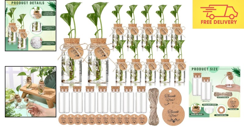 Transparent 24-Pack Plant Propagation Station Set - Ideal for Indoor Gardens gallery