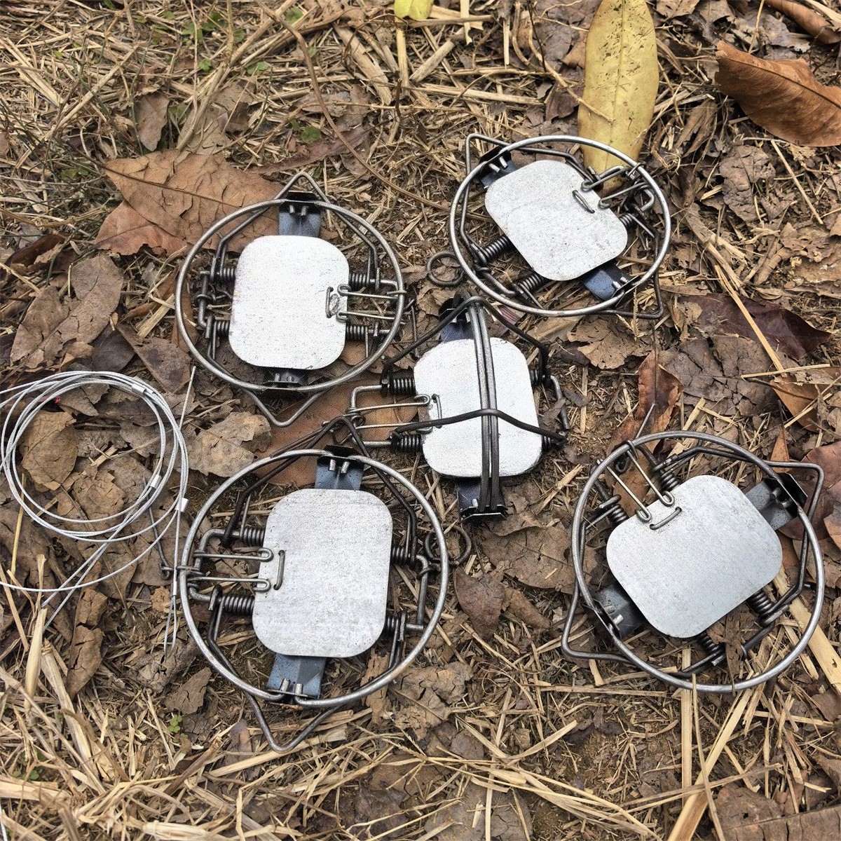 5 Pieces 5-1/10In / 13cm Coil Spring Nutria Mice Fox Gopher Mole Rat Mouse Trap gallery