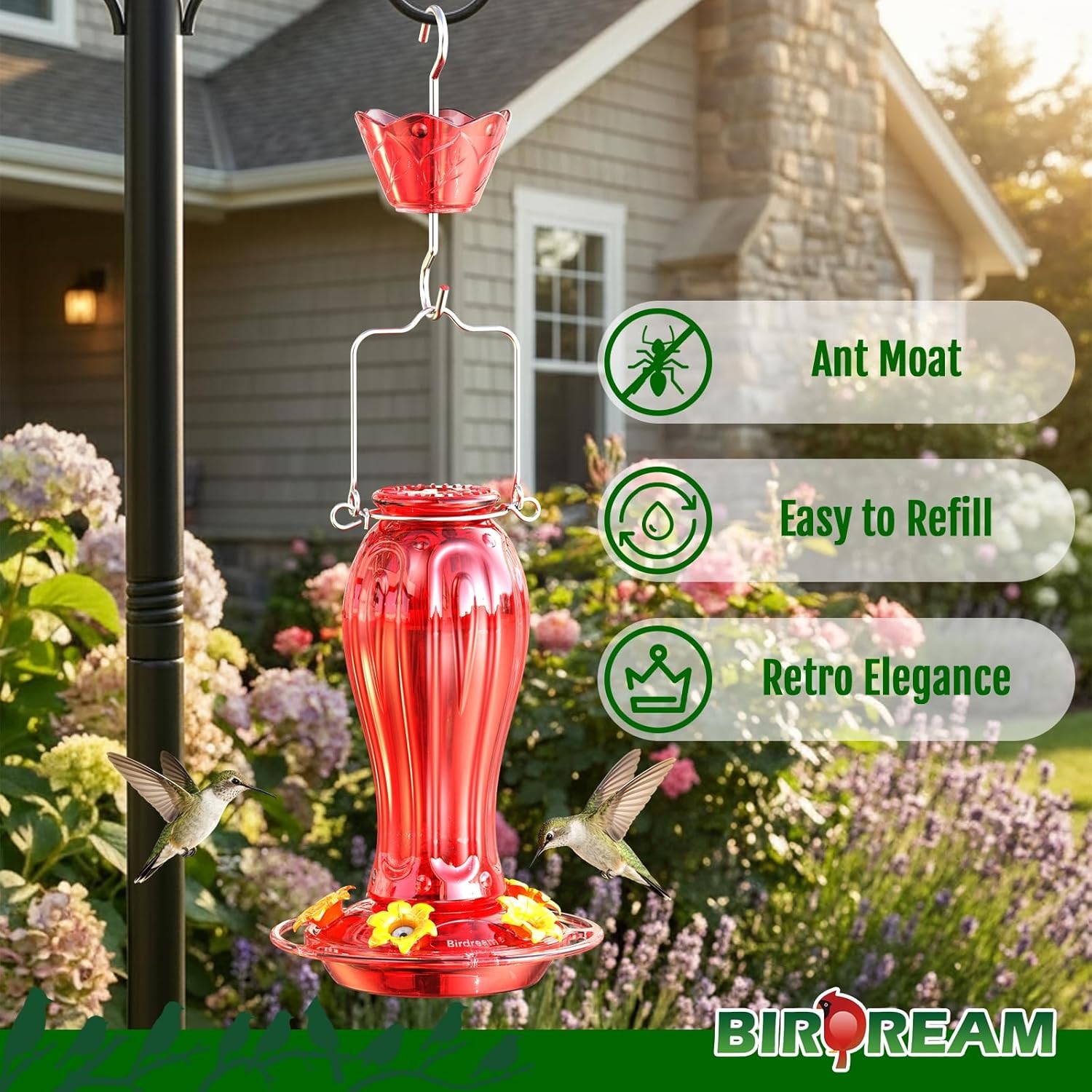 Birdream Glass Hummingbird Feeder for Outdoors, 18oz Hanging Hummingbird Feeder gallery