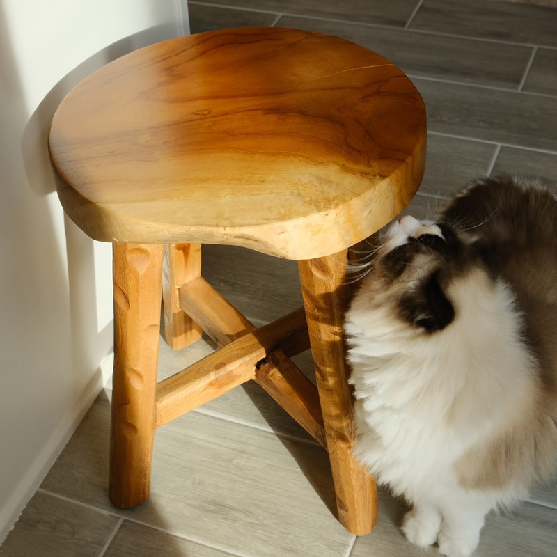 Rustic Teak Solid Wooden Stool Natural Round Side Table Bedside Table 19.5" H gallery