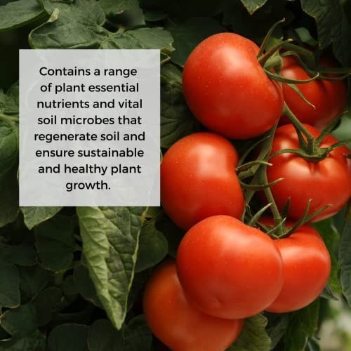 Ecoworm Soil Extract – Organic Liquid Vermicompost Fertilizer Soil Microbe B... gallery