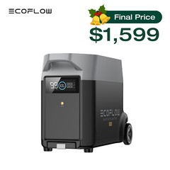 EcoFlow DELTA Pro Generato Extra Battery 3600Wh for Home Backup, Camping, LFP
