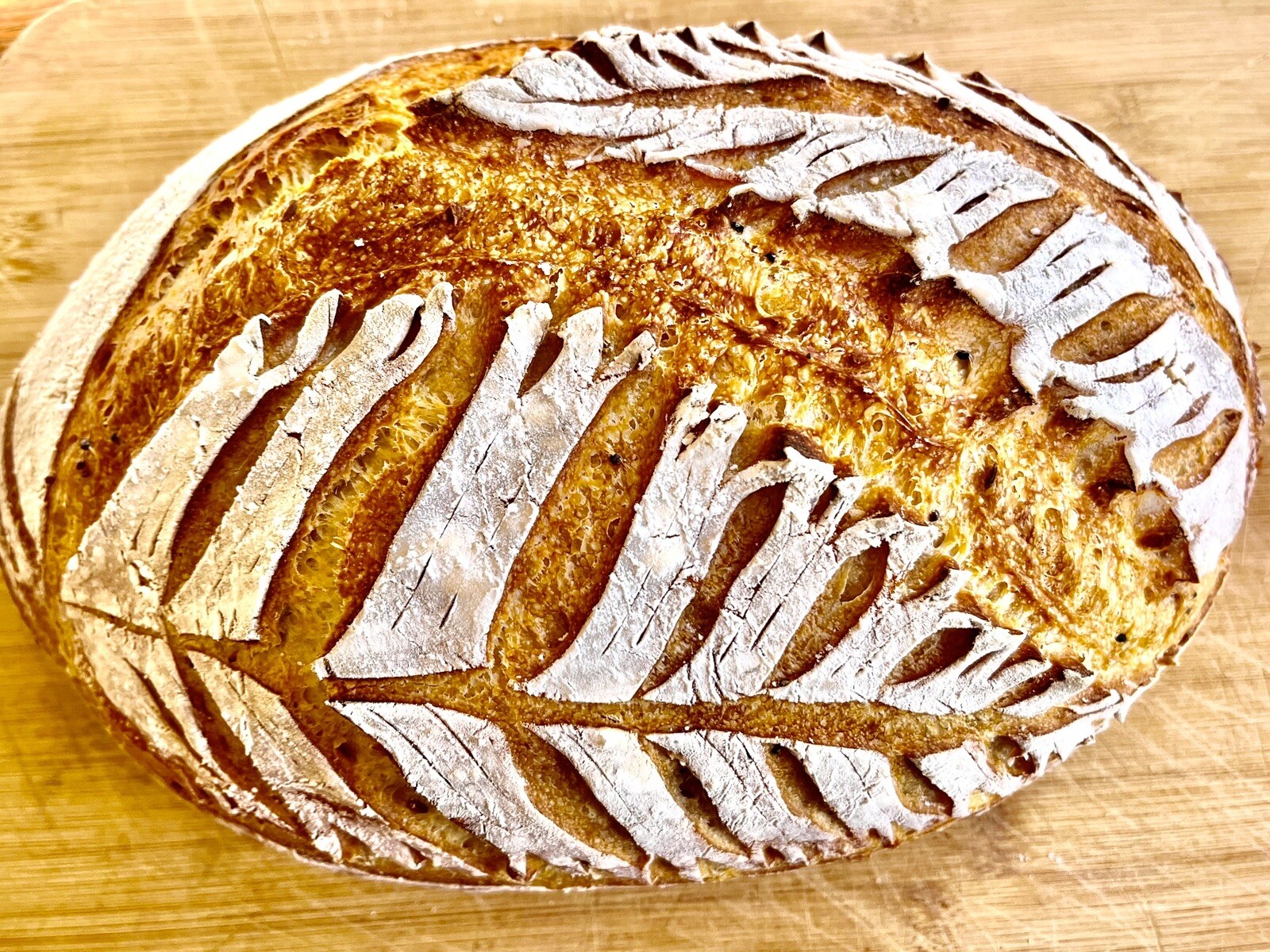 FREE SHIPPING Sourdough Starter Verified Live Boston - 221yr Old TOP SELLER! gallery