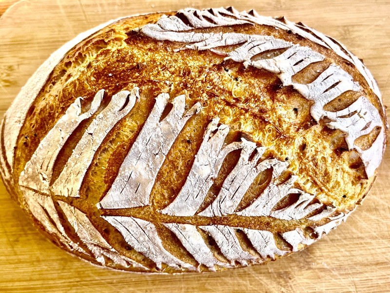 BEGINNER Sourdough Starter Verified Live San Francisco - 221yr Old TOP SELLER! gallery