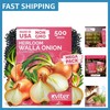 Cold-Hardy Walla Walla Onion Seeds – 500 Count Non-GMO Heirloom for Gardens gallery