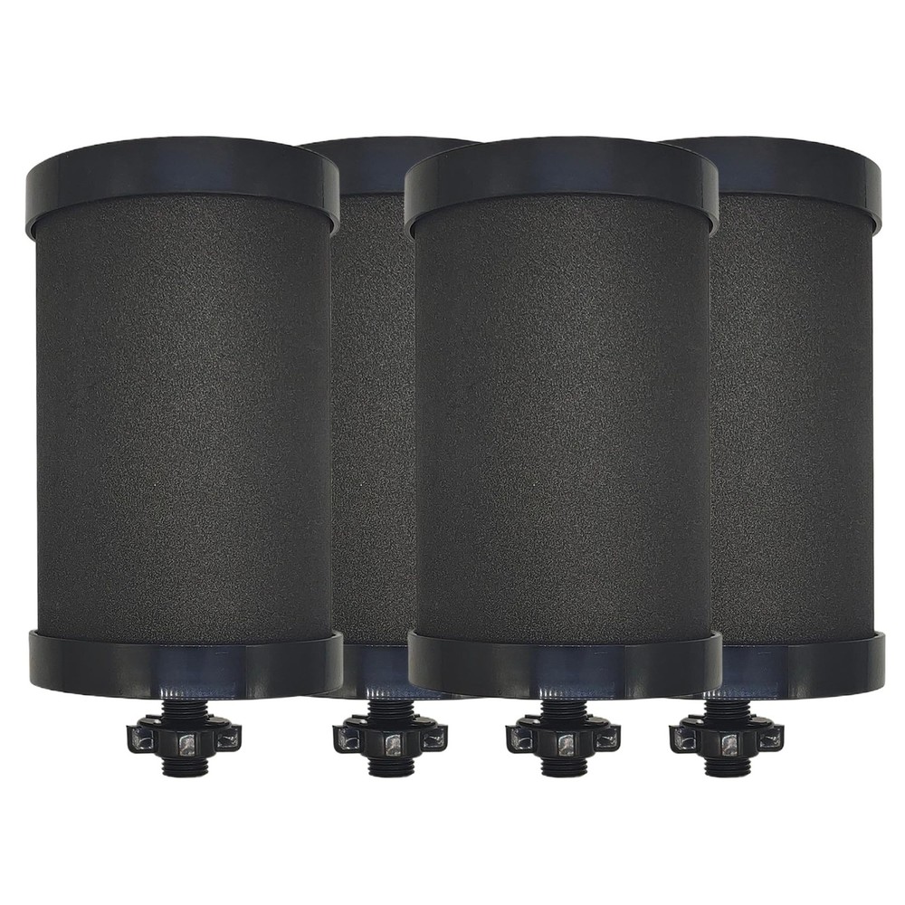 2387 Filter Replacement Compatible with Alexapure Water 6.5 inch, Black