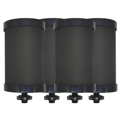 2387 Filter Replacement Compatible with Alexapure Water 6.5 inch, Black