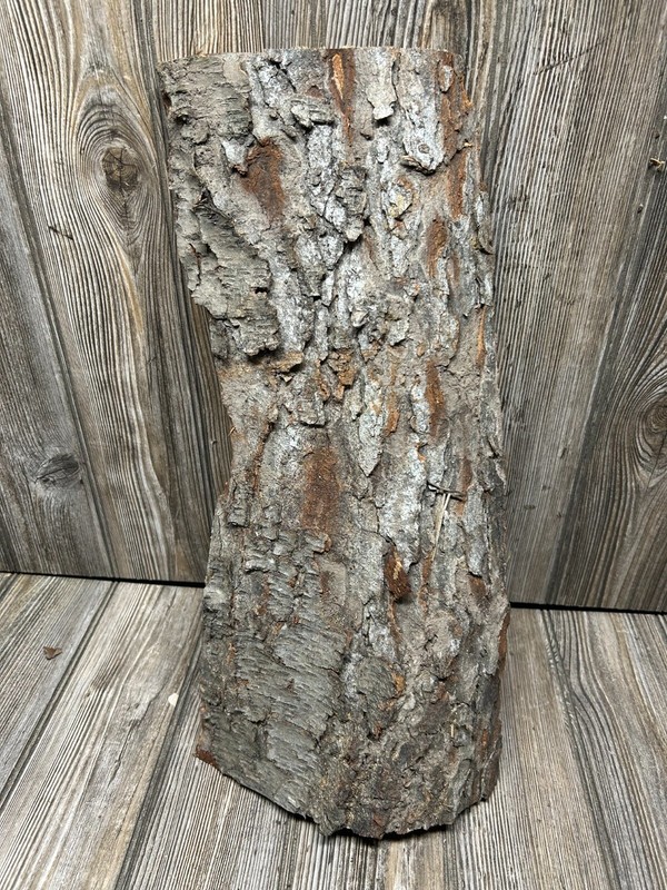 Cherry Bark Unique Slab Approximately 18 x 9 x 2 Inches gallery