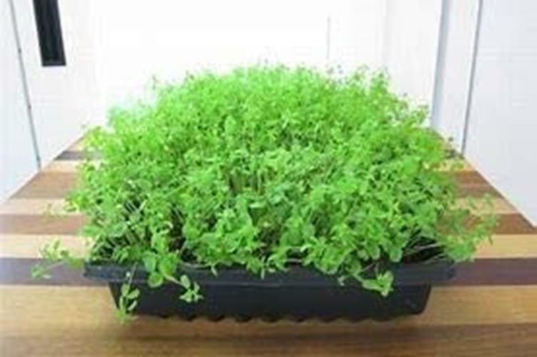 4 oz Flax gallery