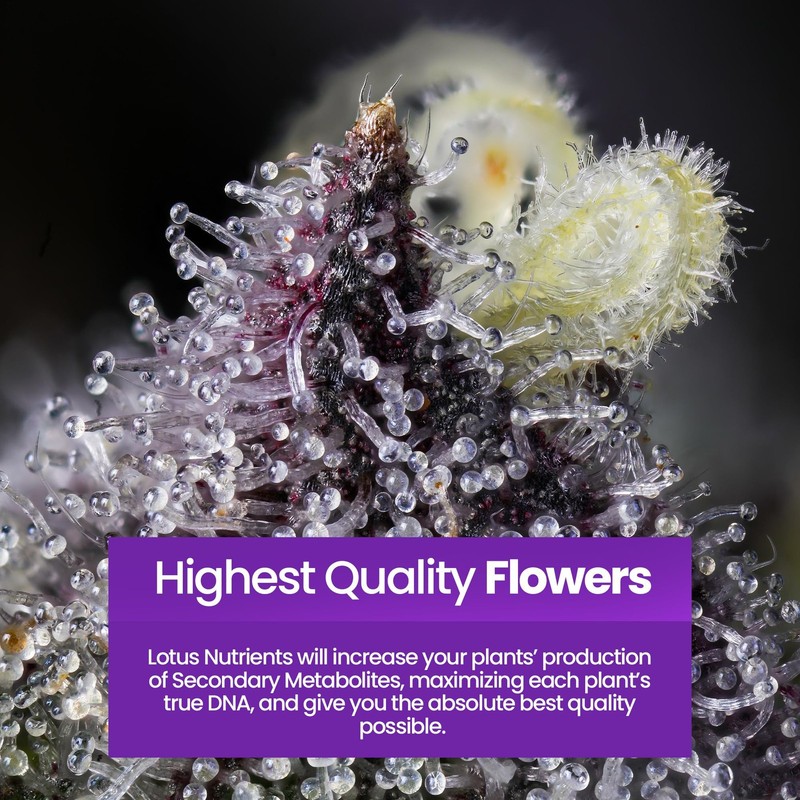 Starter Kit (Bloom, Boost, and Grow) - Most Advanced Plant Nutrients and Bloo... gallery