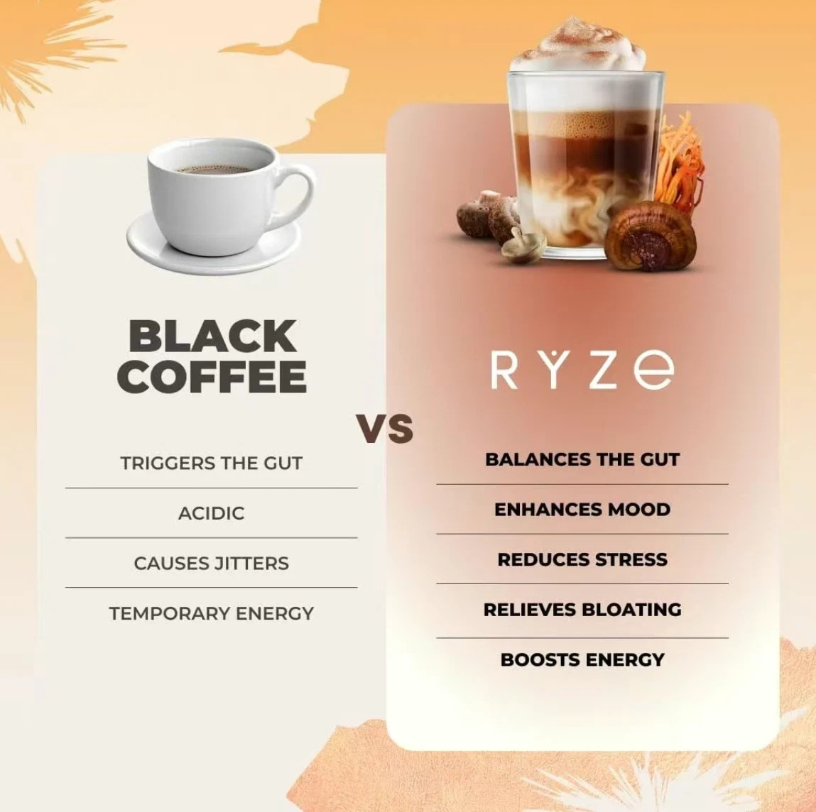 2-Pack Organic RYSE Mushroom Coffee – 30 Servings Per Pack – Free Shipping gallery