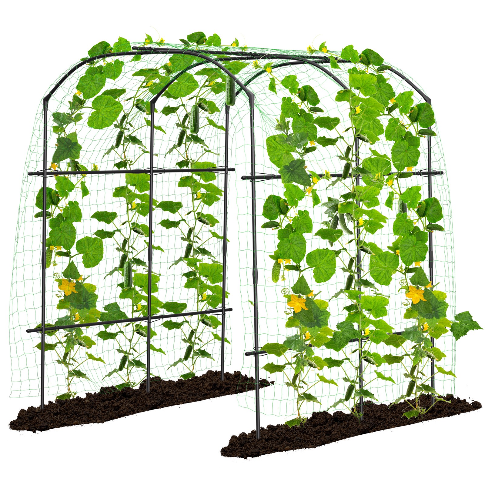 Tall Garden Arch Trellis Arched Metal Tubular Frame Climbing Plant Archway gallery