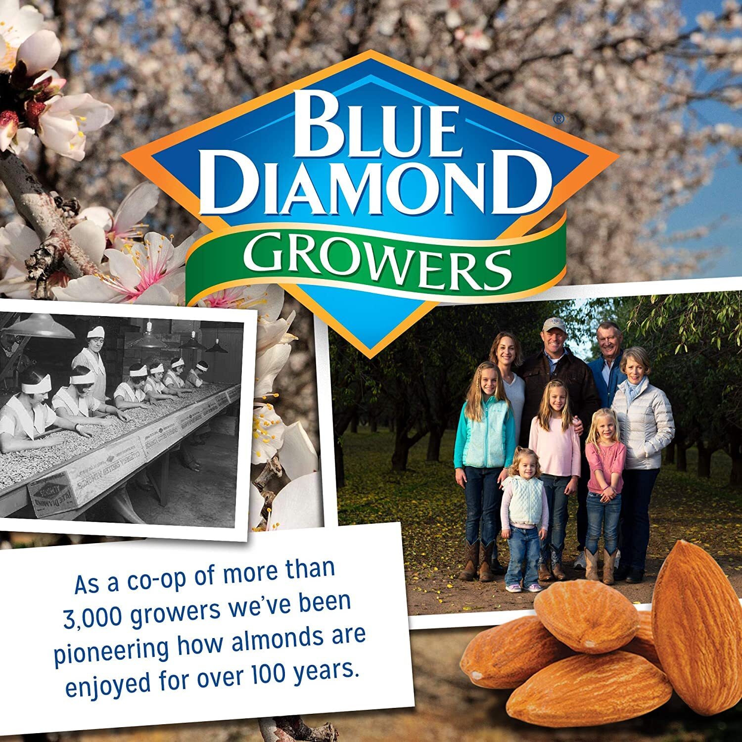 Blue Diamond Almonds, Bold Salt 'n Vinegar, 16 Ounce (Pack of 1) gallery