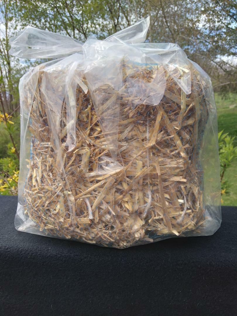 1 Certified ORGANIC Mini Barley Straw Bale - Treats 1000-2000 gallons - 8 oz gallery