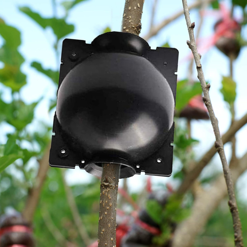 12 PCS Plant Root Growing Box, Reusable Air Layering Propagation Kit Plant Rooti gallery