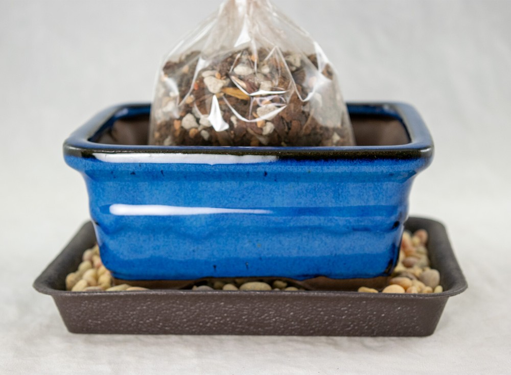6" Rectangular Dark Blue Shohin Bonsai Pot + Soil + Tray + Rock + Mesh Kit