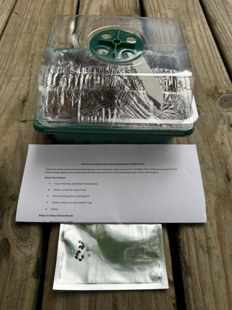 The Sensitive Plant | Mimosa Pudica Seeds + (5) Mini Greenhouse Germination Kits gallery