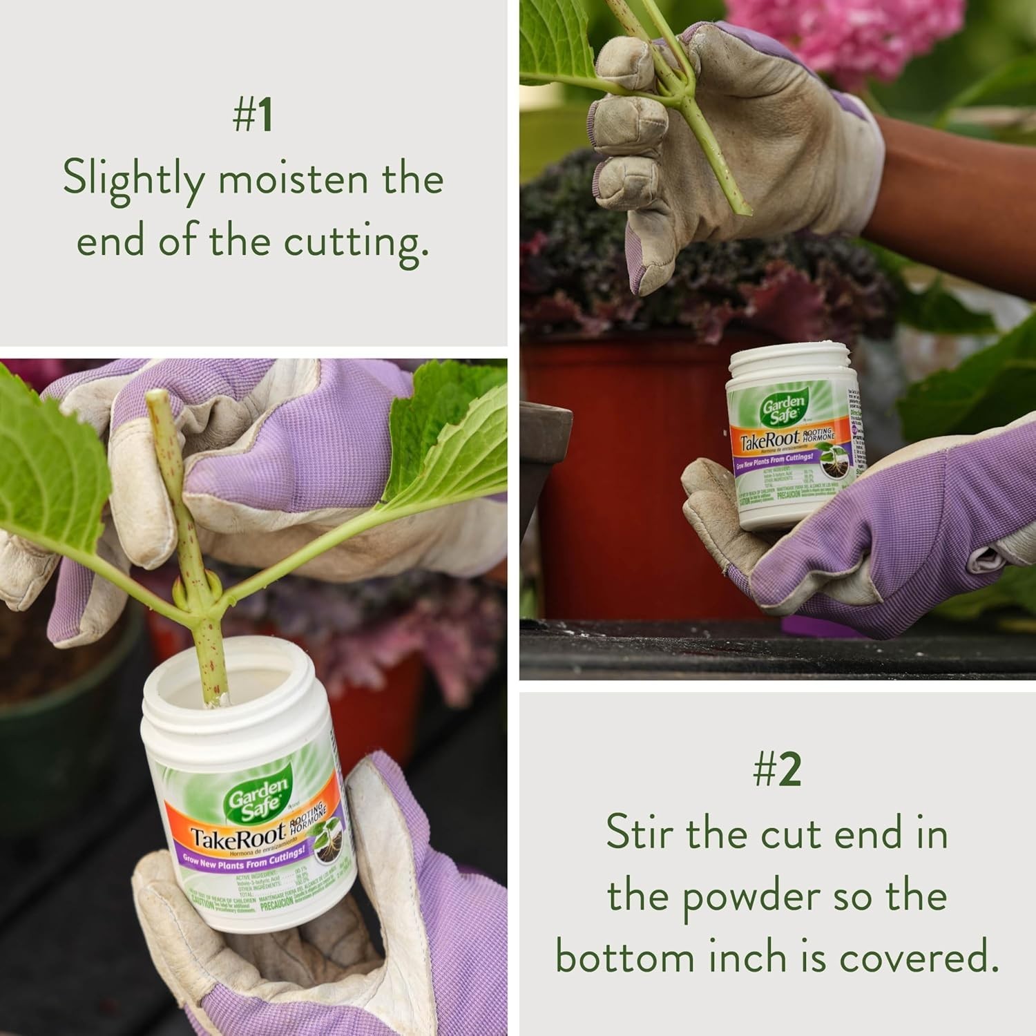 2 Pack Garden Safe Takeroot Rooting Hormone, Plants Growth Powder - 2 Oz gallery
